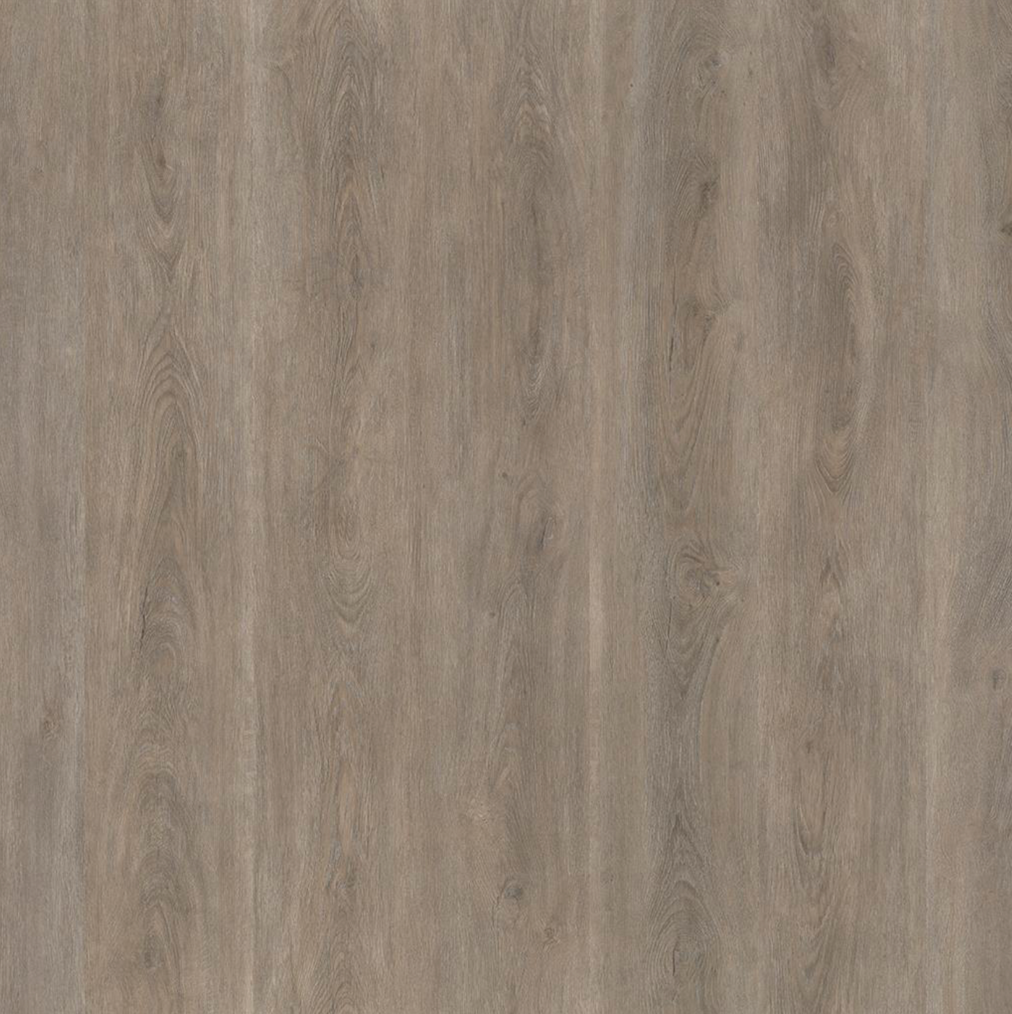 Parramatta DRYBACK SMOKY 1530