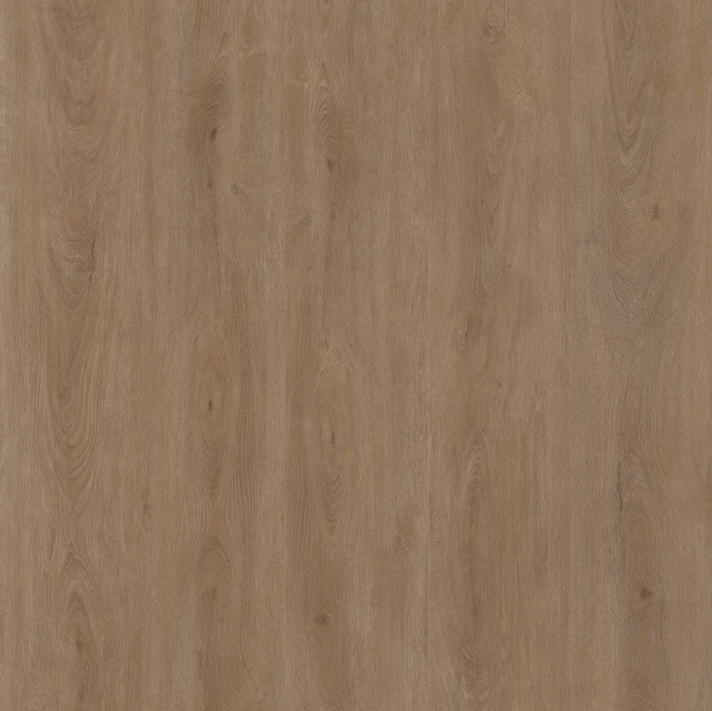 Parramatta DRYBACK DARK OAK 1557