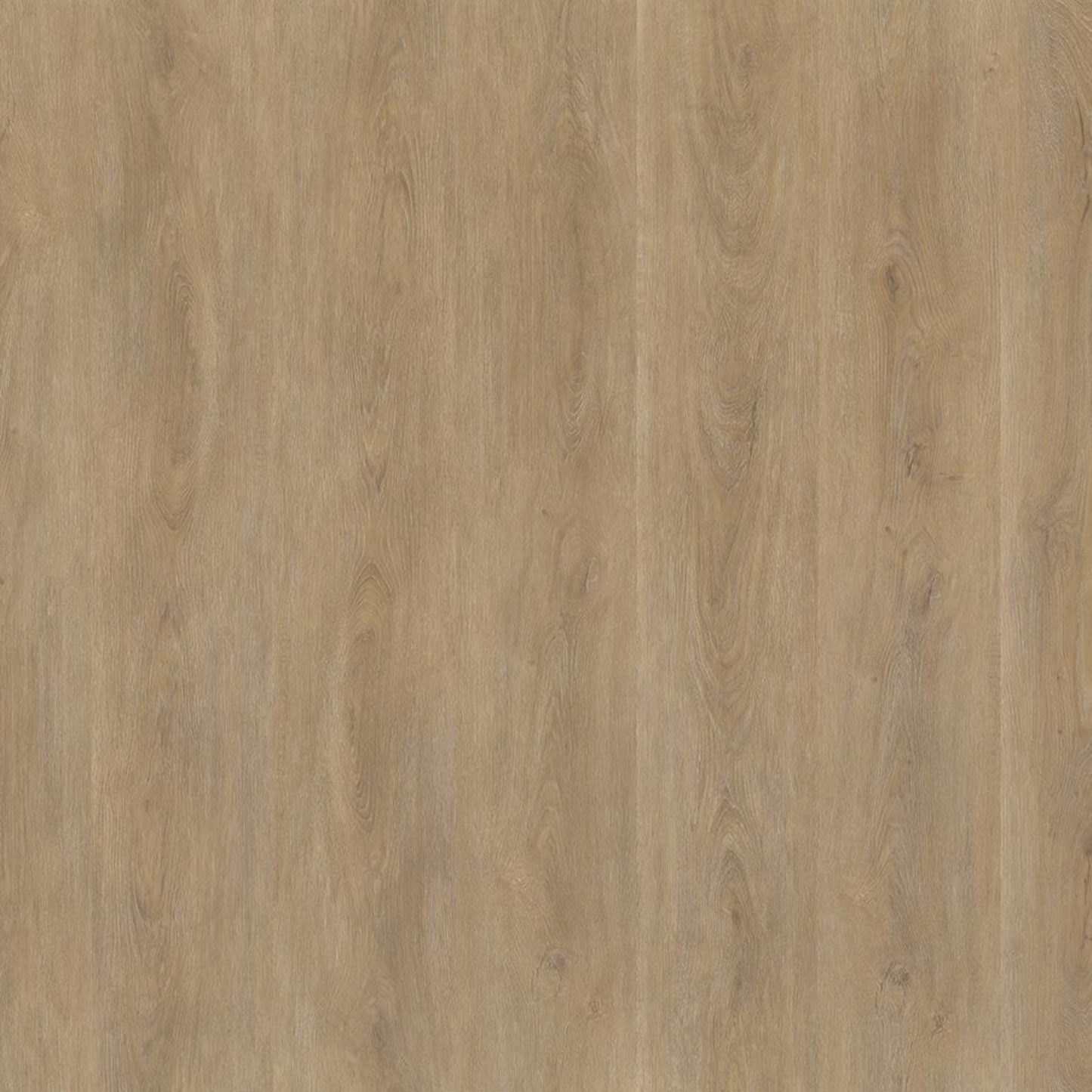 Parramatta DRYBACK NATUREL OAK 1555