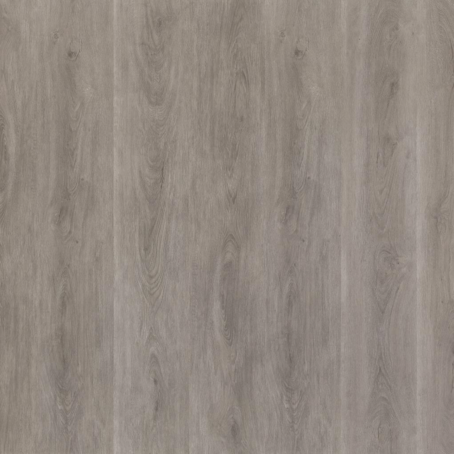 Parramatta DRYBACK GREY OAK 1554