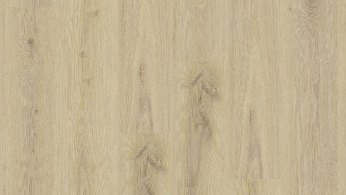Essence - Essence 30 - Primary Oak Beige DRYBACK