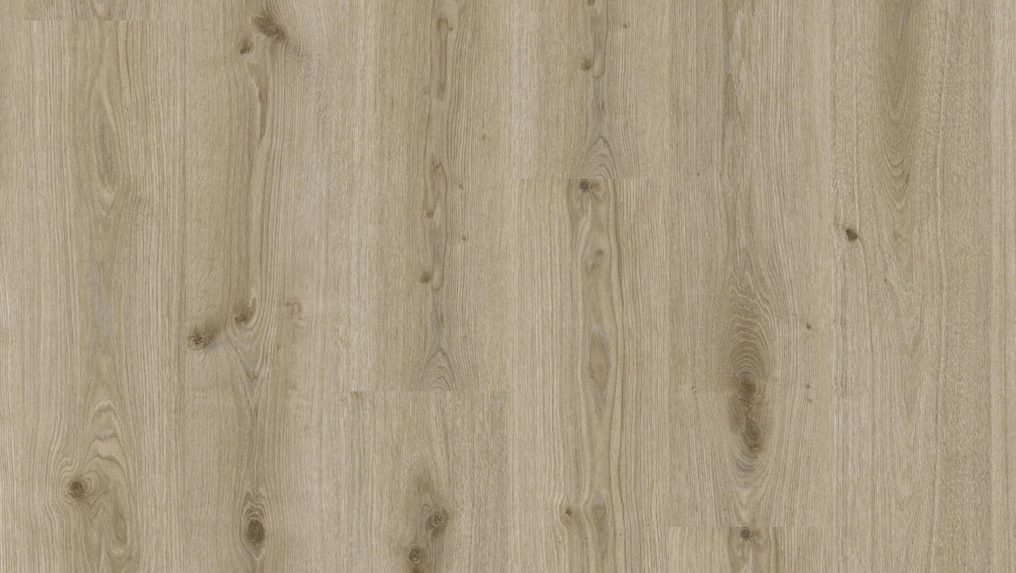 Essence - Essence 30 - Primary Oak Light Grey DRYBACK
