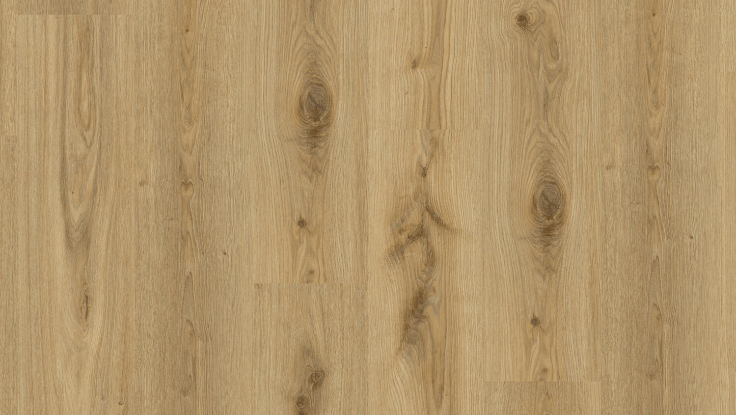 Essence Rigid 30 - Essence Rigid 30-Primary Oak-Natural CLICK