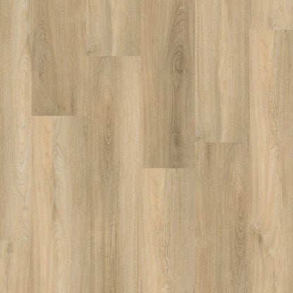 PADDINGTON BEIGE CLICK 5504