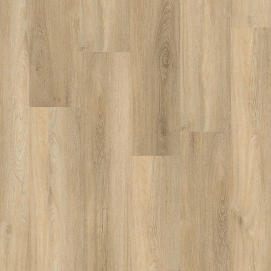 PADDINGTON BEIGE CLICK 5504
