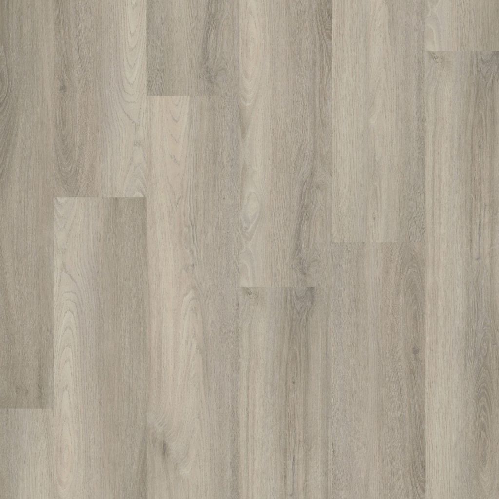 PADDINGTON  LIGHT GREY CLICK 5505