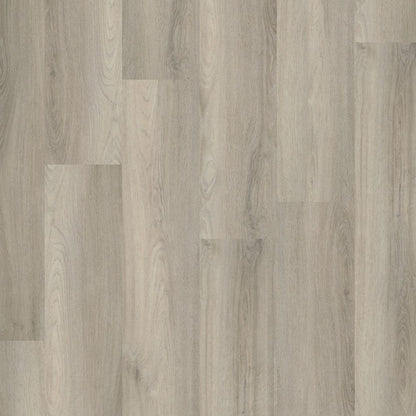 PADDINGTON  LIGHT GREY CLICK 5505