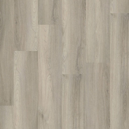PADDINGTON  LIGHT GREY CLICK 5505