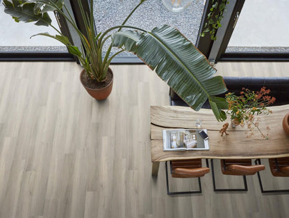 PADDINGTON  LIGHT GREY CLICK 5505