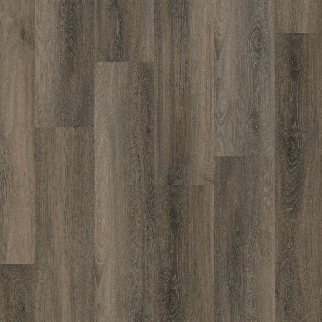 PADDINGTON DARK GREY CLICK 5506