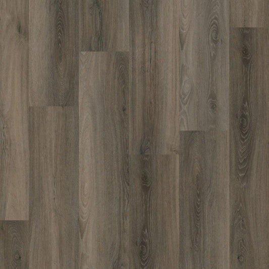 PADDINGTON DARK GREY CLICK 5506