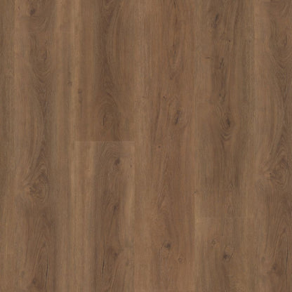 PARRAMATTA  WARM BROWN CLICK 2532
