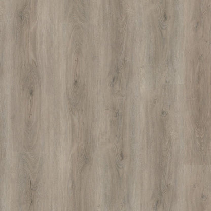 PARRAMATTA LIGHT GREY CLICK 2533