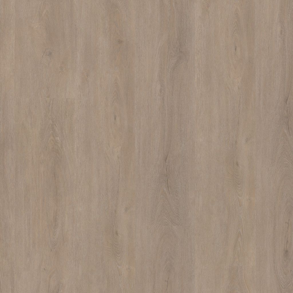 PARRAMATTA LIGHT OAK CLICK 2556