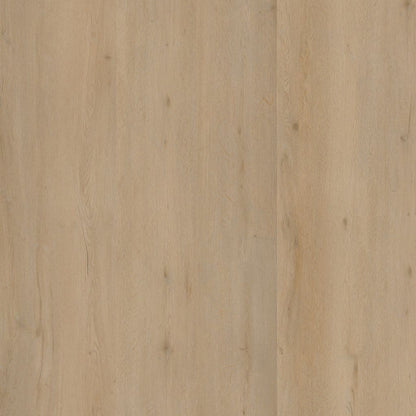 LEYTON BEIGE CLICK 2824