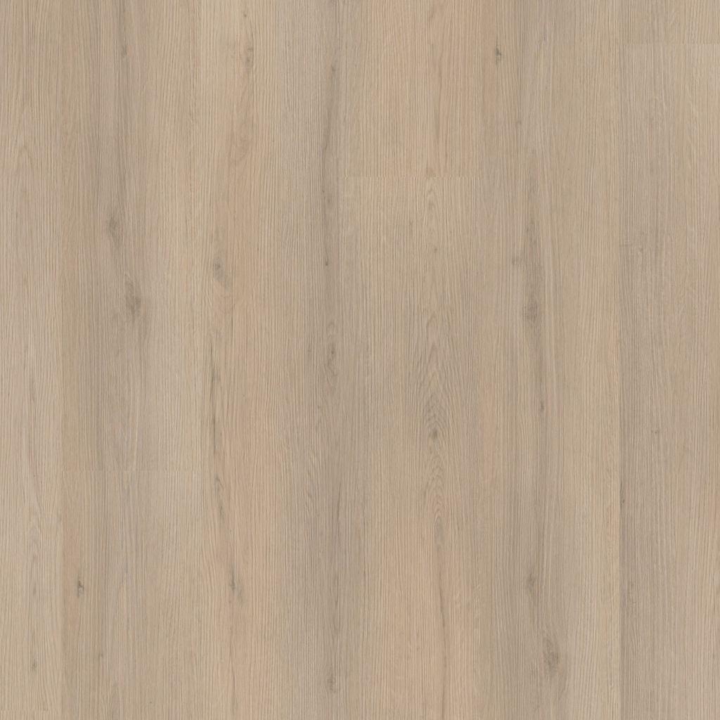 Barnet BEIGE CLICK 8612