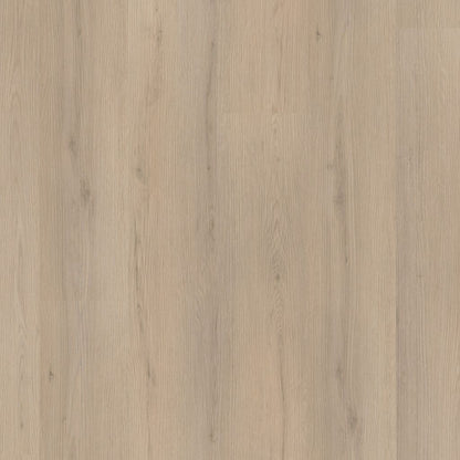 Barnet BEIGE CLICK 8612