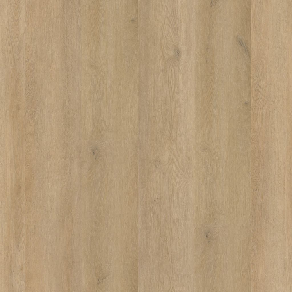 Greenwich BEIGE DRYBACK 1910