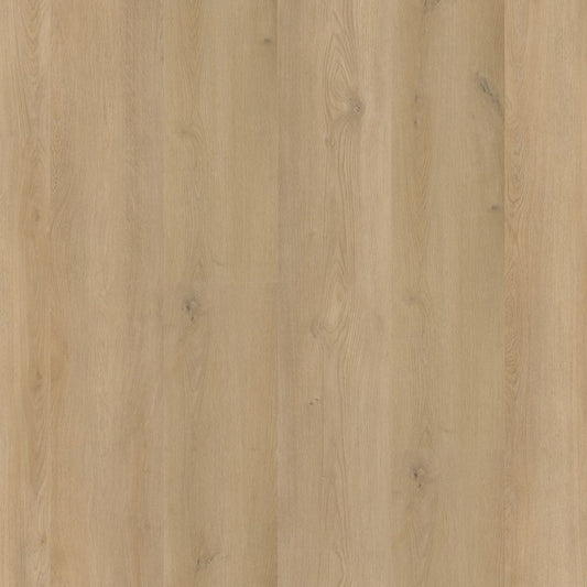 Greenwich BEIGE DRYBACK 1910