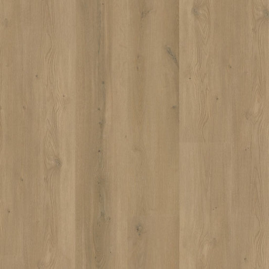 Greenwich WARM OAK DRYBACK 1911