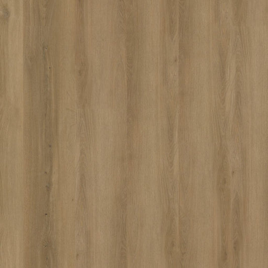 Greenwich DARK OAK DRYBACK 1912