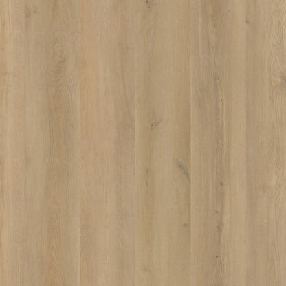 GREENWICH BEIGE CLICK 2910