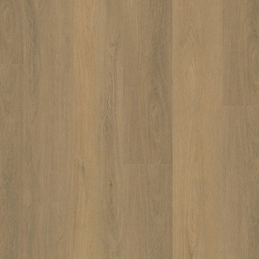 SUTTON WARM NATURAL DRYBACK 6504