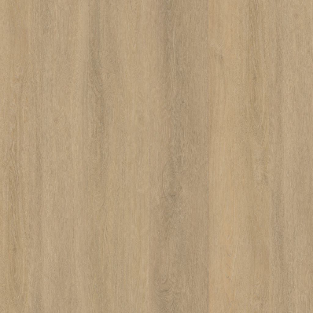 SUTTON WARM BEIGE DRYBACK 6503