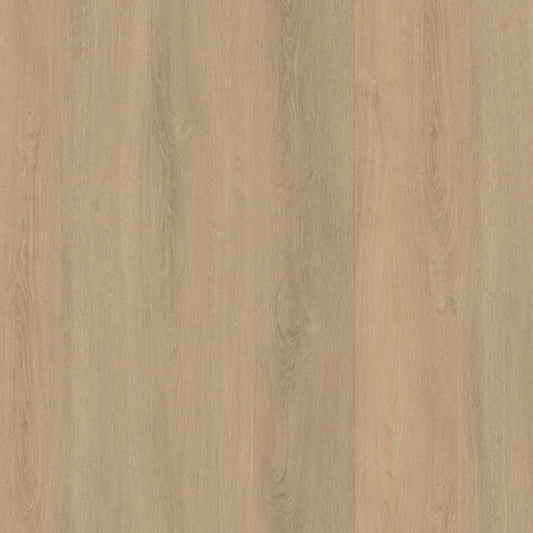 SUTTON WARM BEIGE DRYBACK 6503