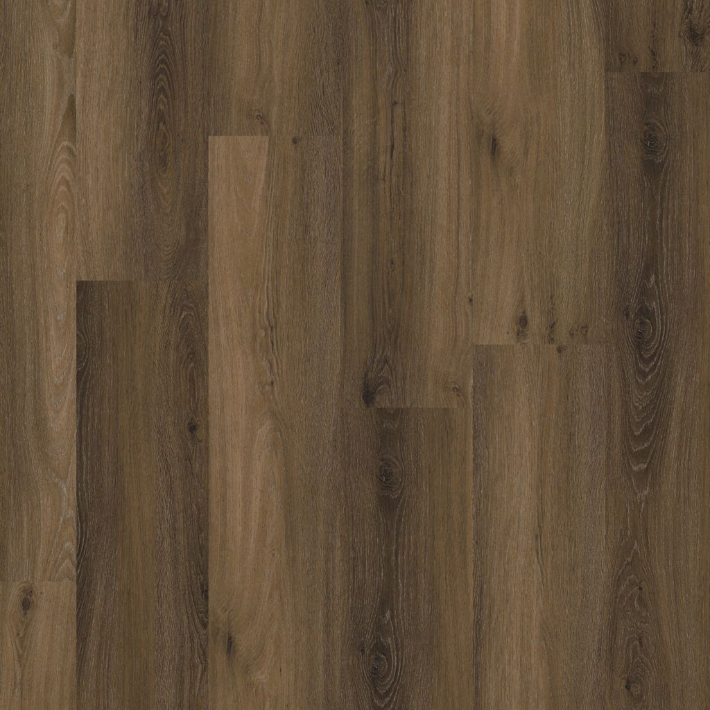 PADDINGTON WARM BROWN CLICK 5501
