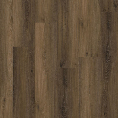 PADDINGTON WARM BROWN CLICK 5501