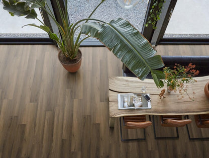 PADDINGTON WARM BROWN CLICK 5501