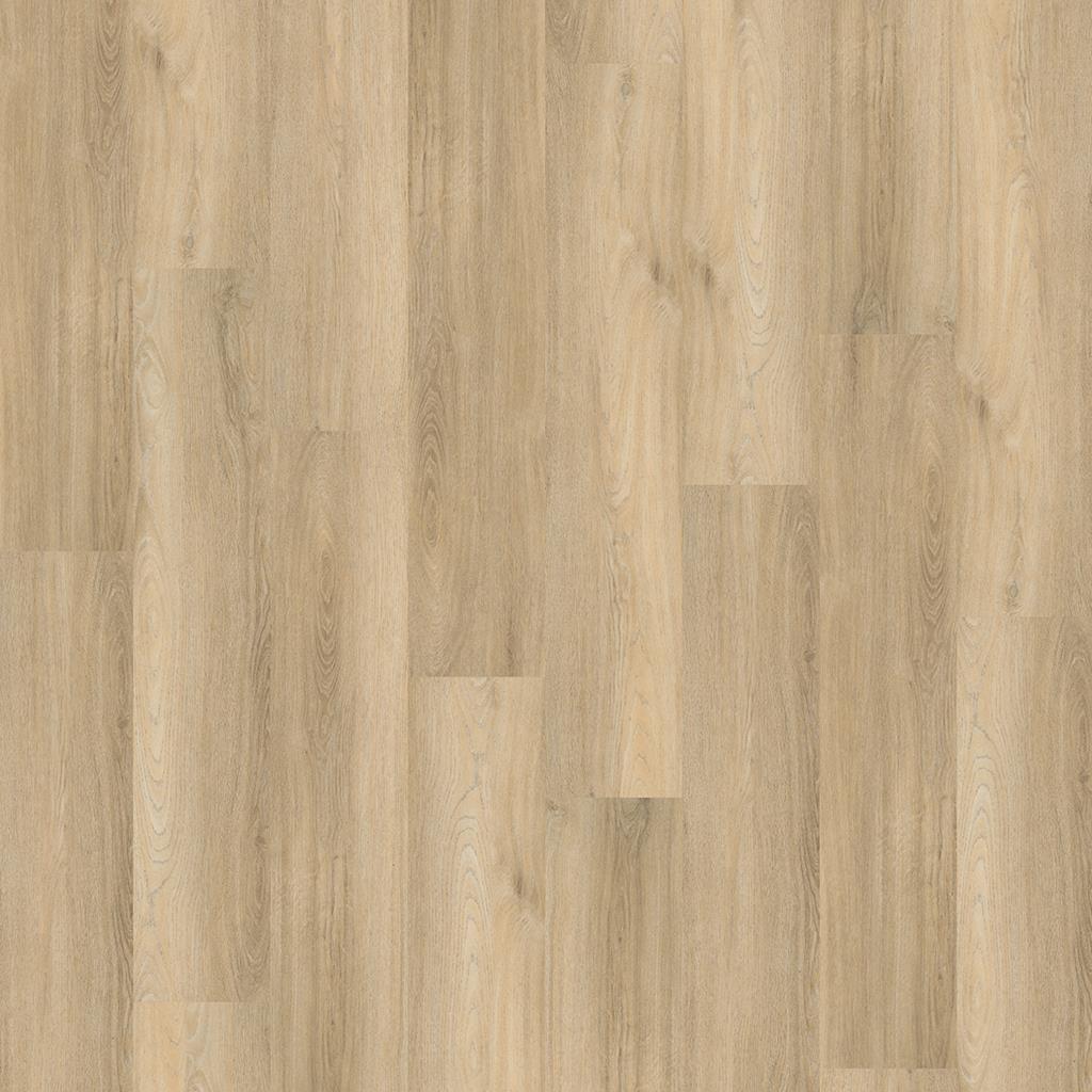 Paddington BEIGE DRYBACK 4504