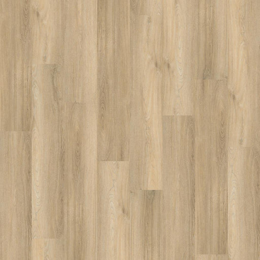 Paddington BEIGE DRYBACK 4504