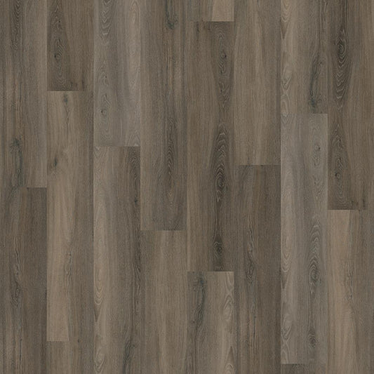 Paddington DARK GREY DRYBACK 4506