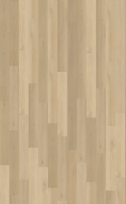 Borgo 310 DRYBACK