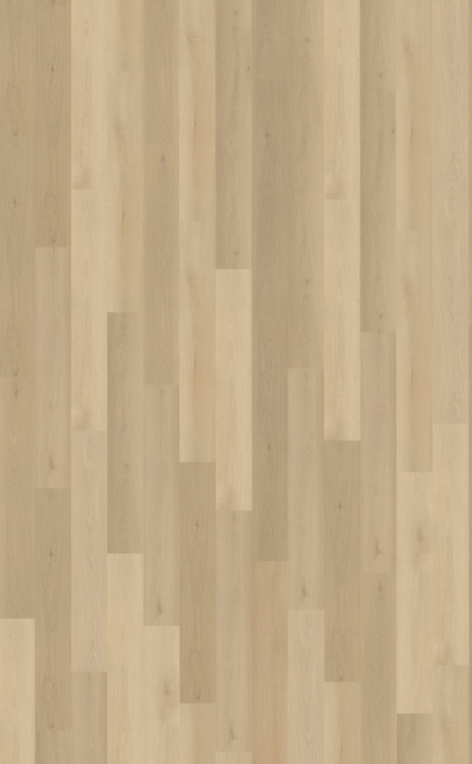 Borgo 310 DRYBACK