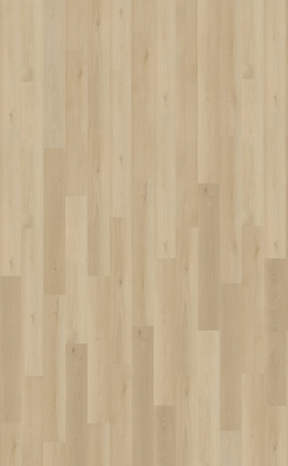 Borgo 330 DRYBACK