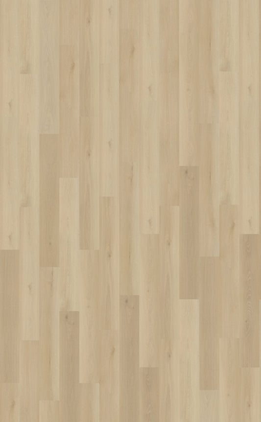 Borgo 330 DRYBACK