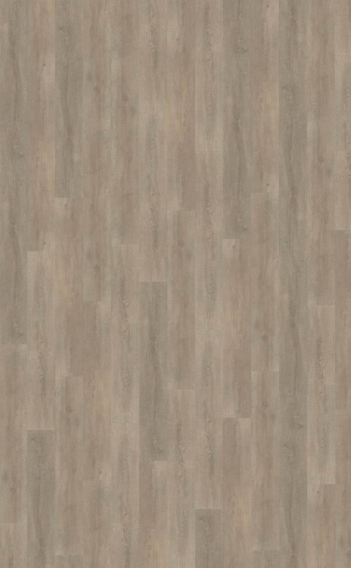 Palazzo 700 DRYBACK
