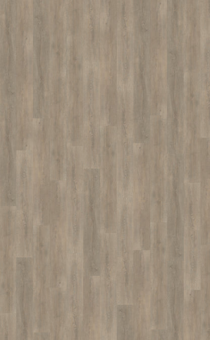 Palazzo 700 DRYBACK