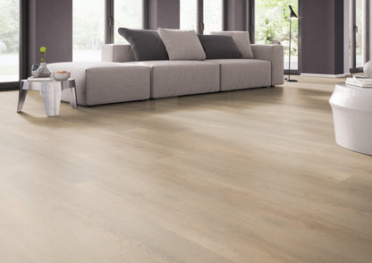 Palazzo 710 DRYBACK