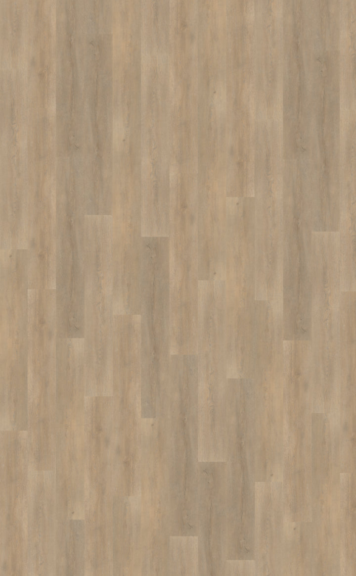 Palazzo 710 DRYBACK