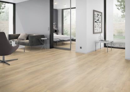 Palazzo 720 DRYBACK