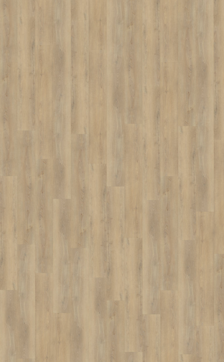 Palazzo 720 DRYBACK