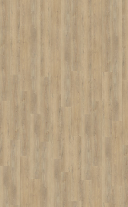 Palazzo 720 DRYBACK