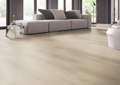 Palazzo 730 DRYBACK