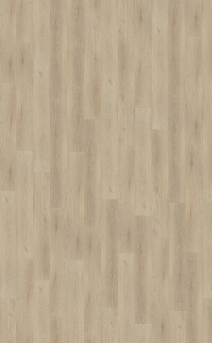 Palazzo 730 DRYBACK