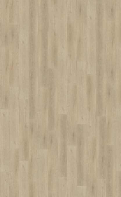 Palazzo 730 DRYBACK