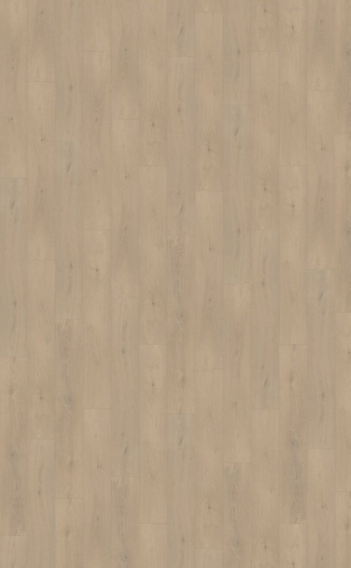 Palazzo 740 DRYBACK